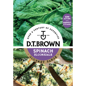 D.T. Brown Spinach Bloomsdale Seeds