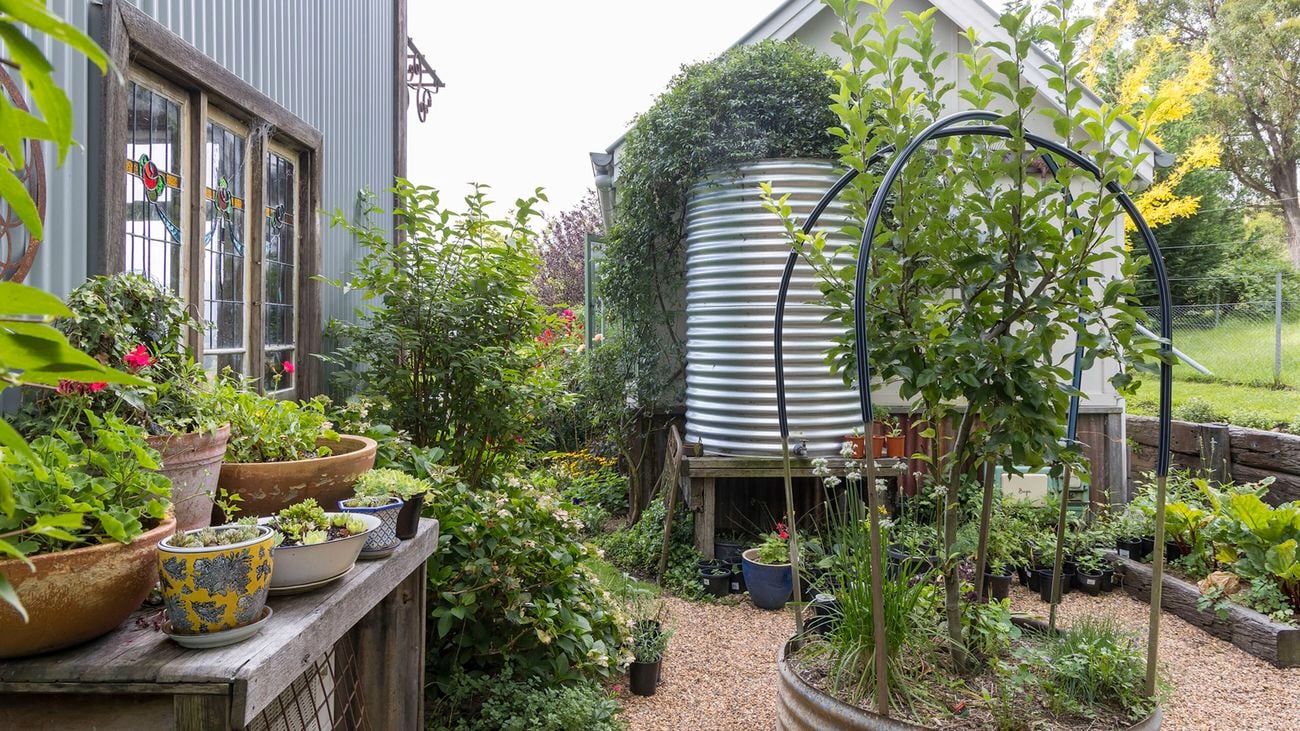 A garden with a corrugated metal rainwater tank, raised garden beds, potted plants, and a gravel pathway next to a house.