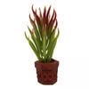 Aqua One Betta Green/Red Plant On Pot Ornament 10cm (24334)