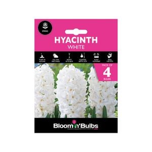 Bloomin' Bulbs Hyacinth White - 4 Pack