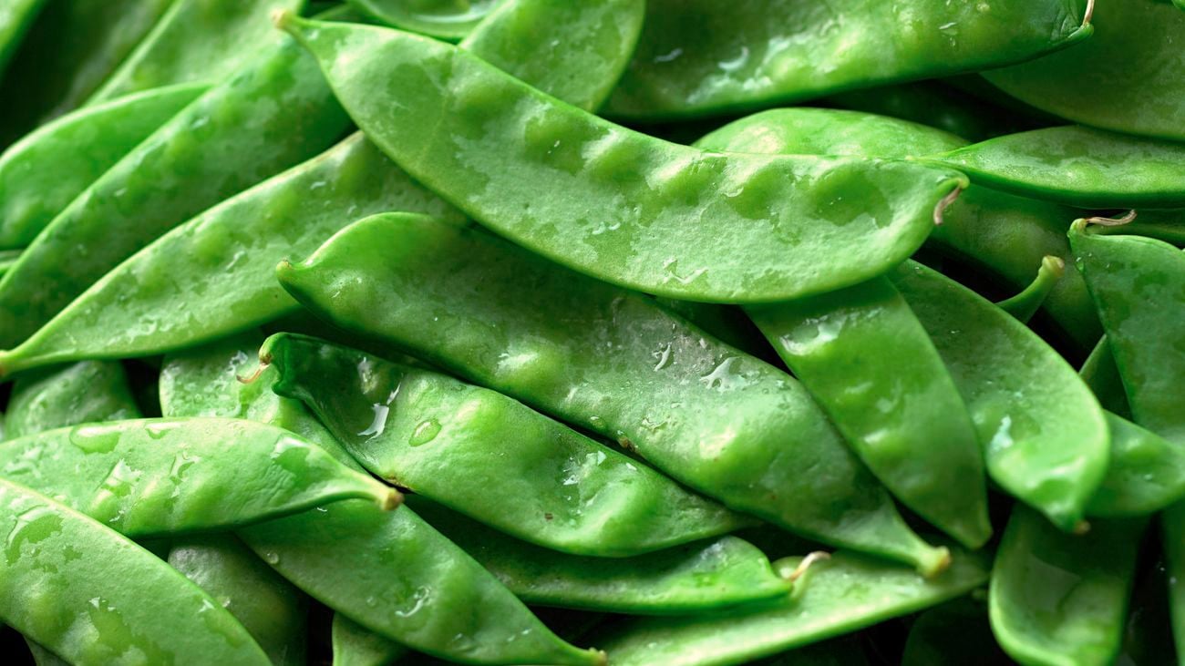 Close up of a pile of snow peas.