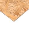 2440 x 900mm 6mm Braceboard OSB
