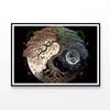 Ying Yang As Tree And Moon Art  Print 100% Australian Made 90x60cm  (poster)