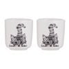 Ashdene Chester The Cat Set Of 2 Egg Cups