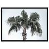 P&P Black Tropical Palm Tree Canvas Wall Art 40x30cm Framed Landscape Décor