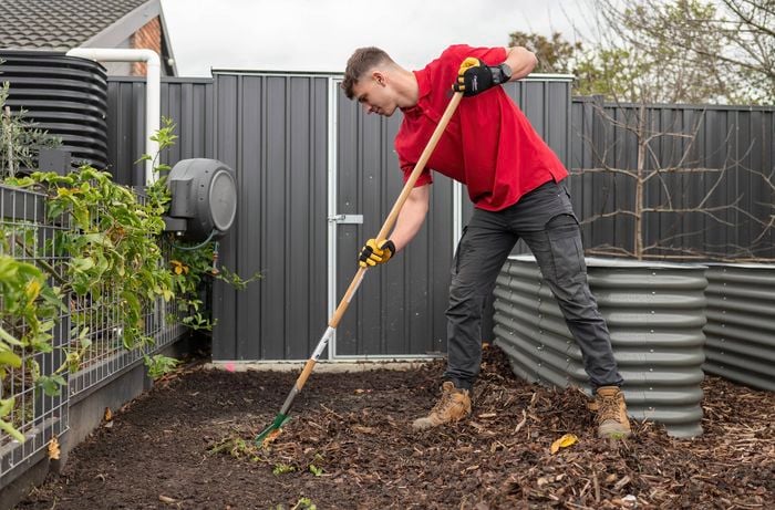 A Bunnings Team Member rakes pine bark from the garden.