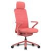 Desky Pro Ergonomic Mesh Chair - Coral / Headrest