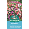 Fothergill's Impatiens Beacon Mix Flower Seeds