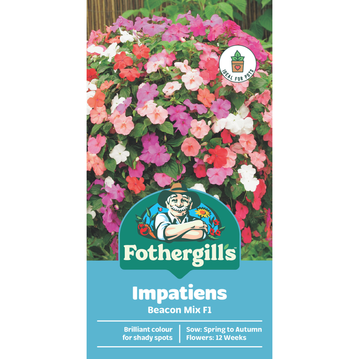 Fothergill's Impatiens Beacon Mix Flower Seeds