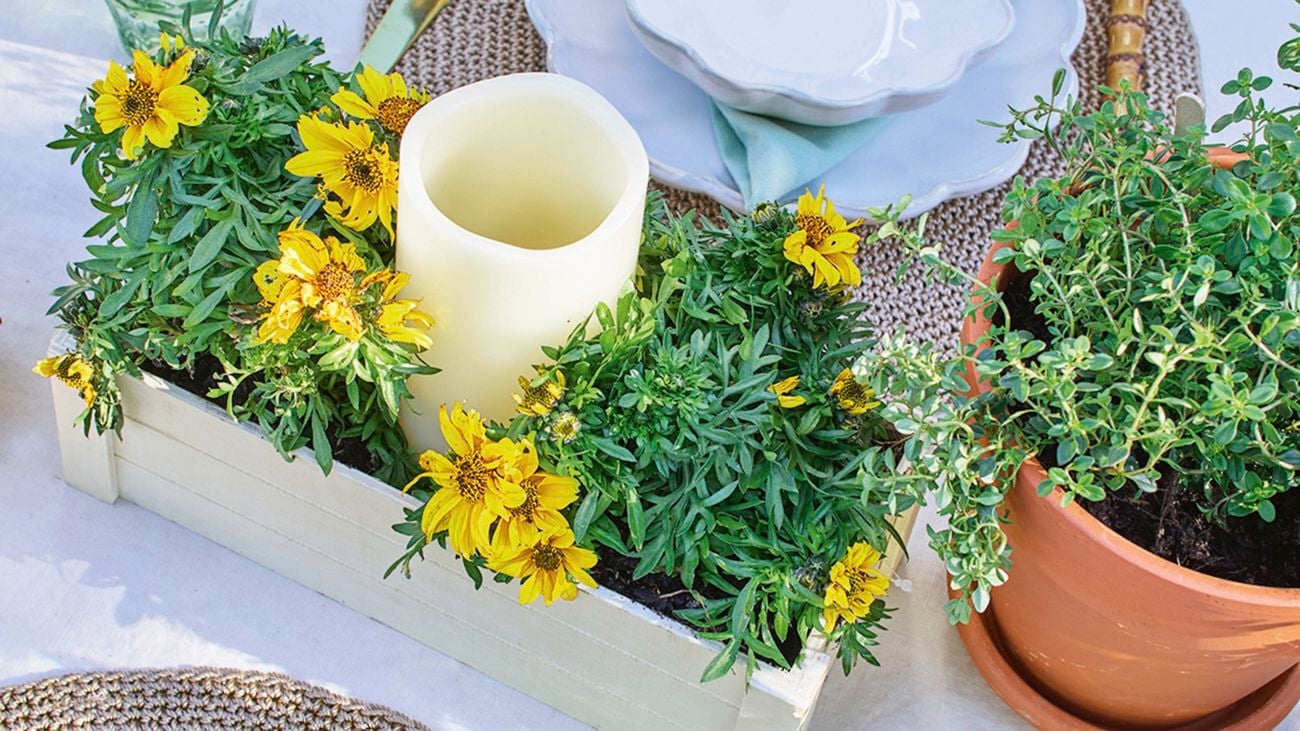 A close-up of a floral centrepiece on a table, with yellow flowers and a candle in a holder.