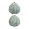 2pk Lvd Small Urchin Decorative Ceramic Bud Vase Home Decor 13.5x13.5x11.5cm