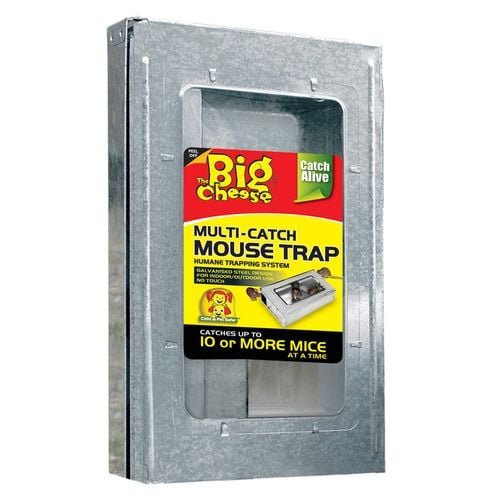 The Big Cheese MultiCatch Mouse Trap Bunnings Australia