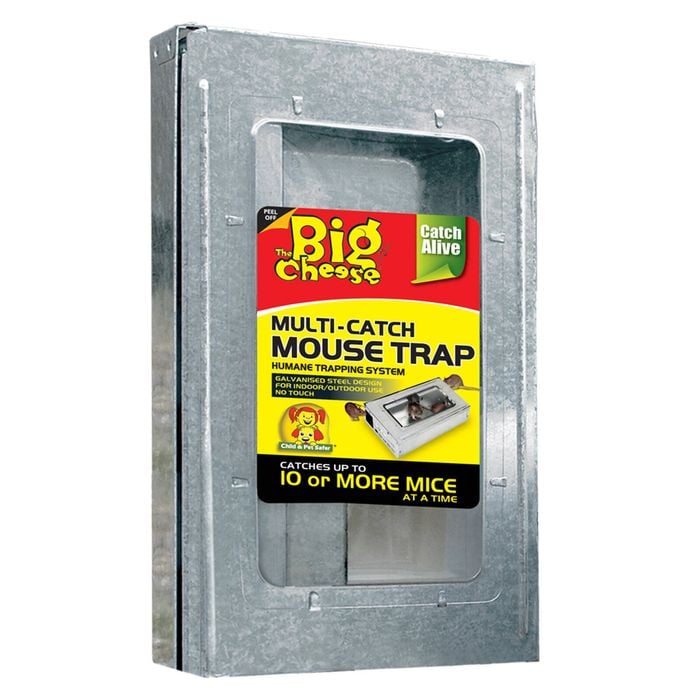 The Big Cheese Multi-Catch Mouse Trap