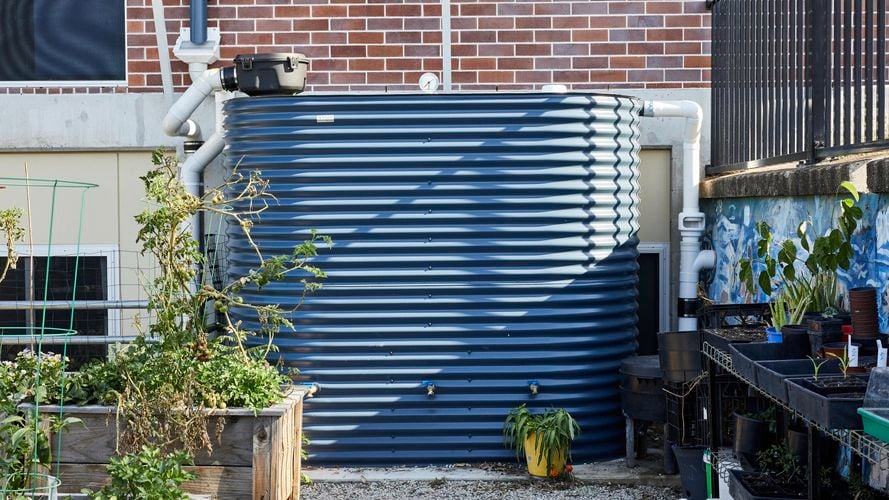 Blue corrugated water tank amongst an outdoor veggie garden space.