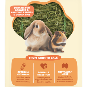 Vetafarm Origins Mini Bales Lucerne Hay for Breeding Rabbits & Guinea Pigs 1kg
