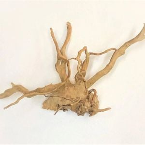 Spider Wood Driftwood Medium 30–40 cm – Aquarium & Reptile Decoration