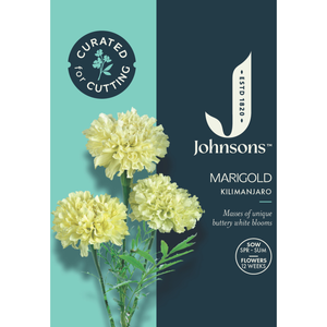 Johnsons Curated For Cutting Marigold Kilimanjaro Seeds