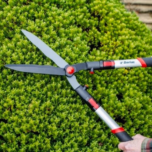 Darlac - Gallery - 10. Darlac Telescopic Hedge Shears - Brand Page