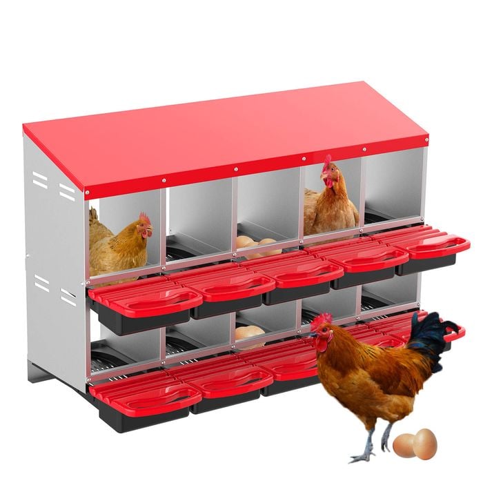 Advwin 10 Holes Chicken Nesting Boxes Metal Chicken Egg Laying Box Egg Collection