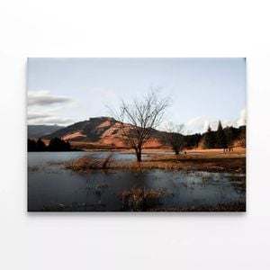 A Lake with a Tree & Mountains  Print 100% Australian Made 75 x 50cm  (Stretched)