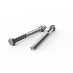 ZENITH M10 x 120mm Stainless Steel 304 Grade Hex Head Bolts And Nuts