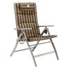 Coleman Striped 5 Position Padded Chair