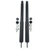 Machter 2 x Rear Shock Absorbers Fit For Holden Commodore VB VC VH VK VL VN VR VS Sedan