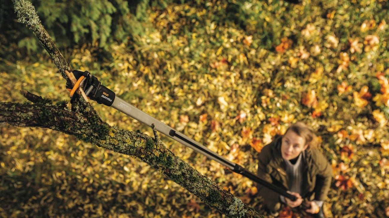 A woman using a tree pruner to cut off a brand.
