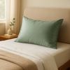 Royal Comfort Pure Silk Pillowcase 100% Mulberry Hypoallergenic Sage Standard