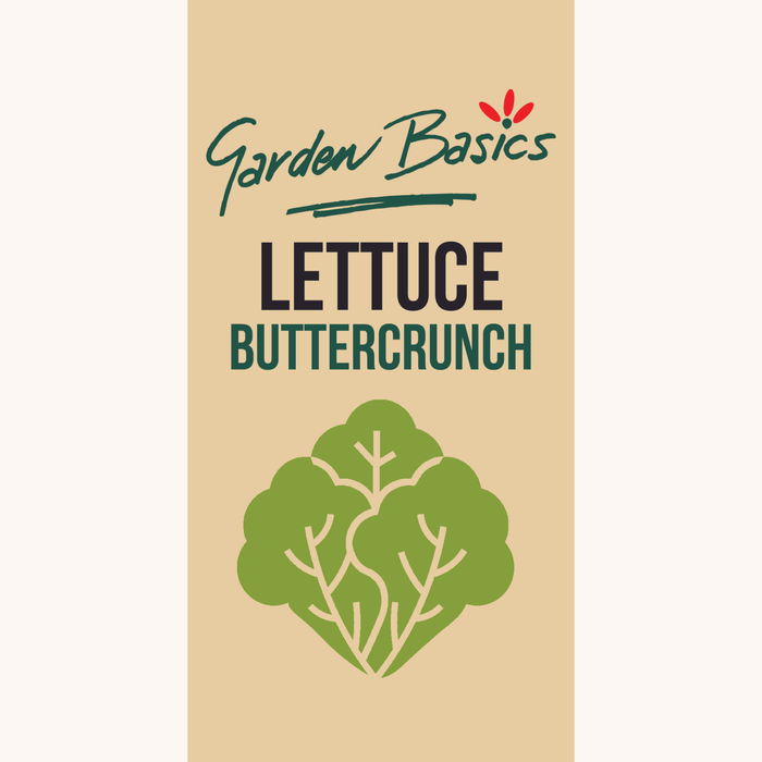 Garden Basics Lettuce Buttercrunch Seeds
