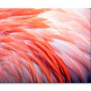 Close Up View of Pink Flamingo Feather  Print 100% Australian Made 90 x 60cm  (Stretched)