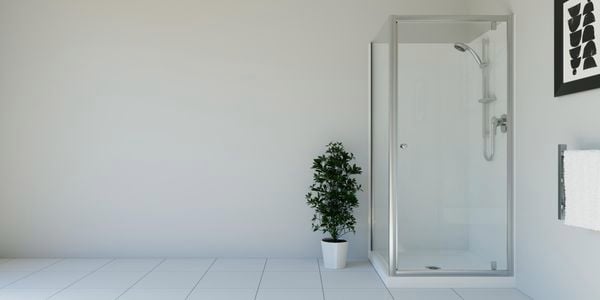 Shower in a bathroom with white tiles and a white wall and a plant in a pot.