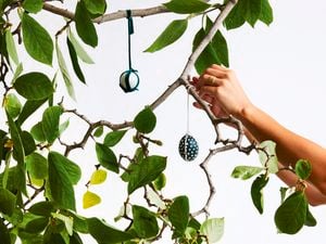 A tree with leaves and painted Easter eggs hanging from string.