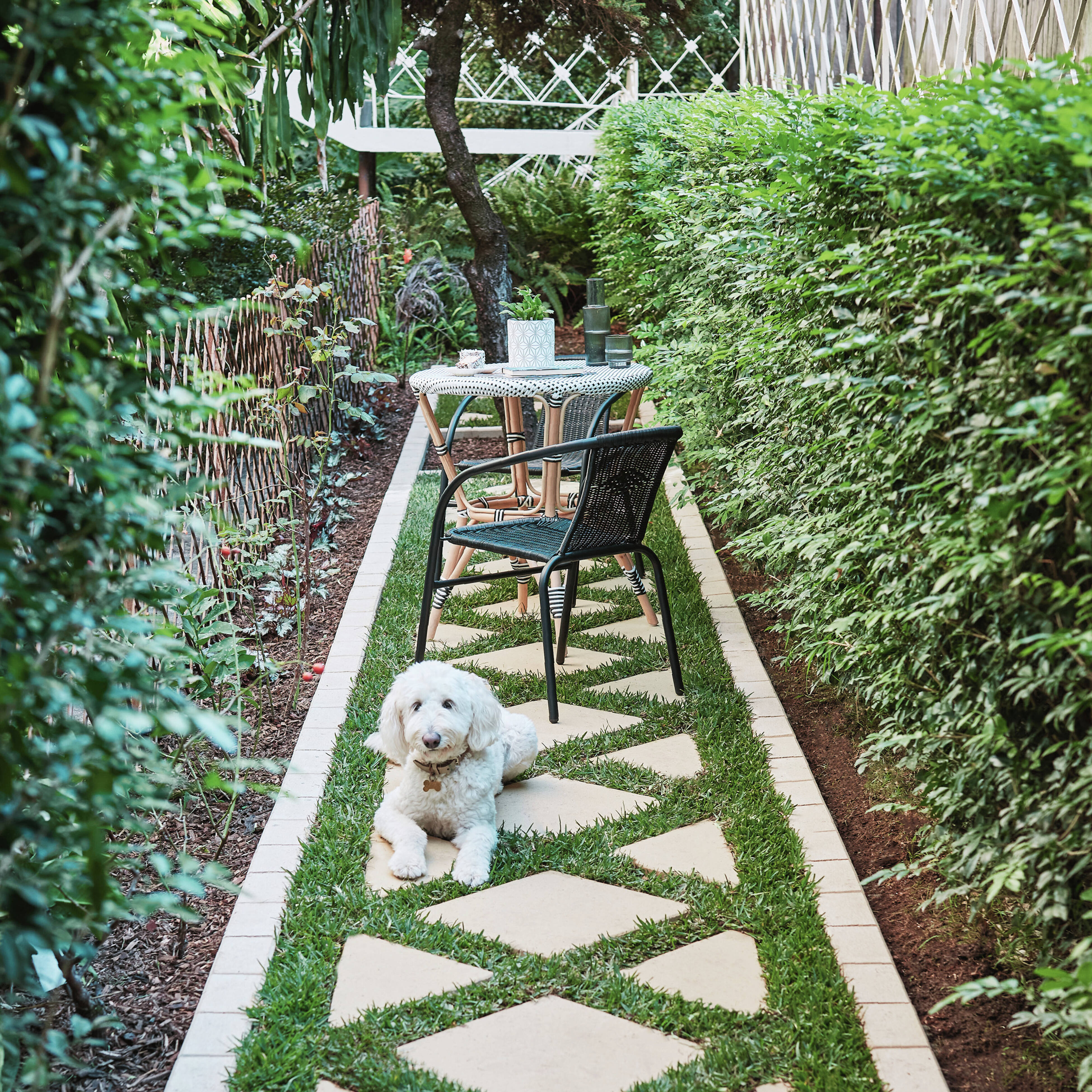 Paver image in shot