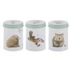 Ashdene Bush Buddies Set Of 3 Canisters