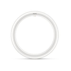 Philips LED G10 20W 2000lm Cool Daylight Circular Globe