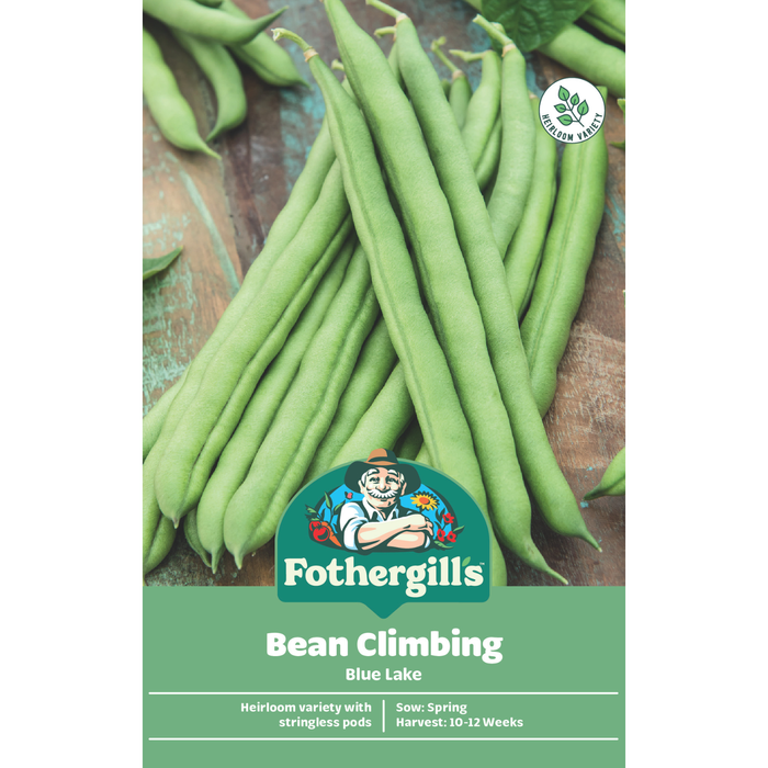 Fothergill's Blue Lake Climbing Bean Vegetable Seeds