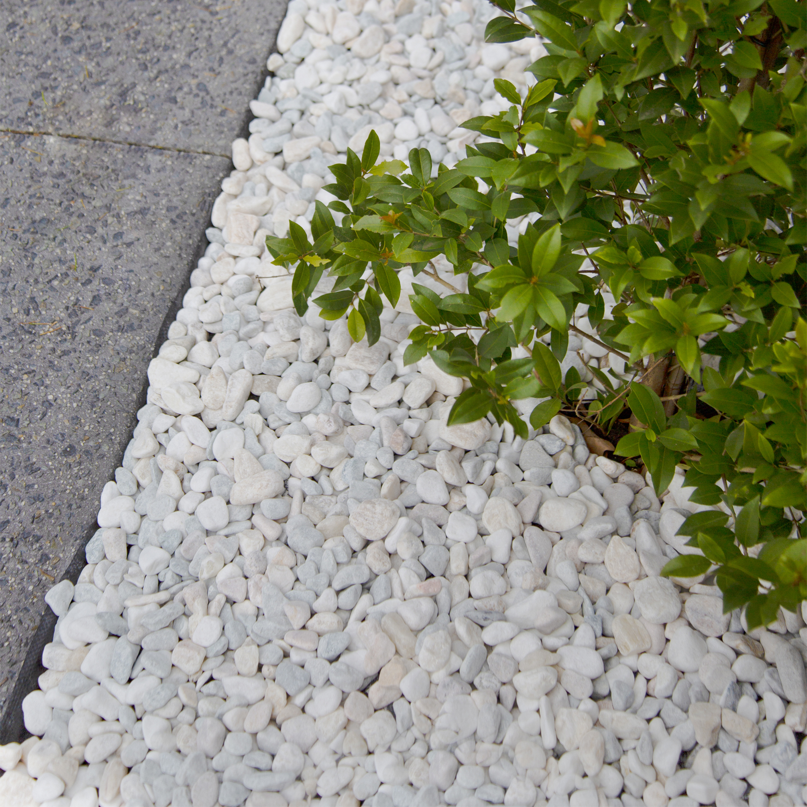 Bags of stones bunnings clearance