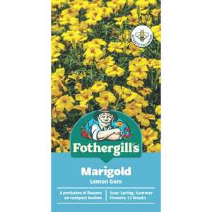 Fothergill's Marigold Lemon Gem Seeds