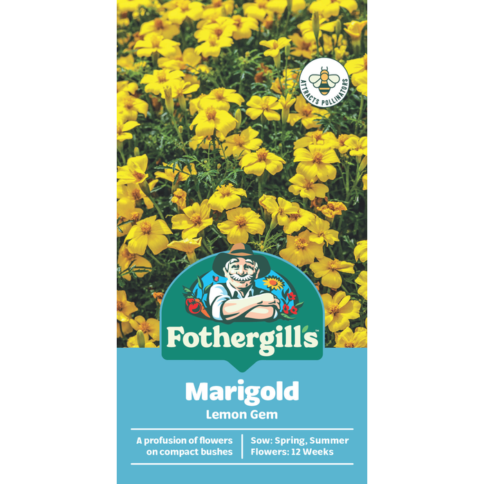 Fothergill's Marigold Lemon Gem Seeds