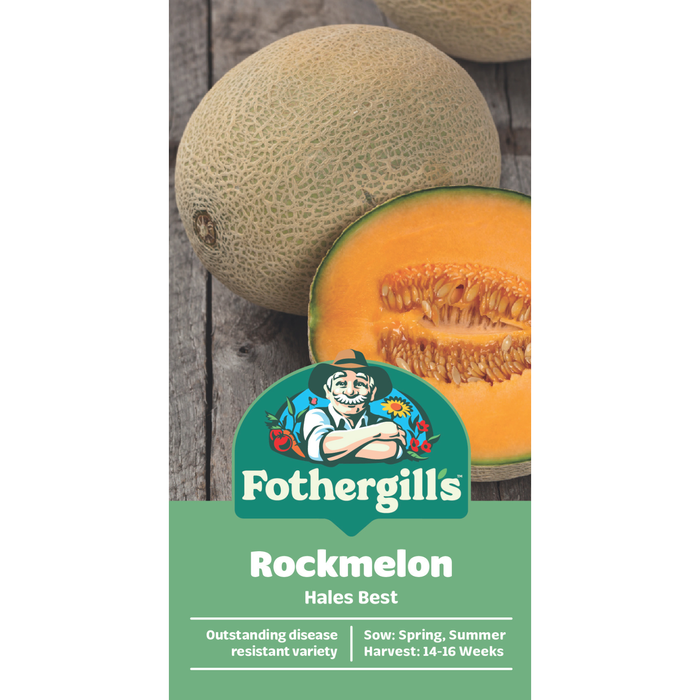 Fothergill's Hales Best Rock Melon Vegetable Seeds