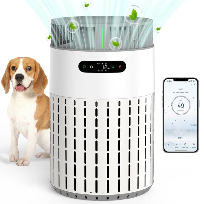 Advwin Pet Air Purifier for Home Pet Dog Cat HEPA Filters