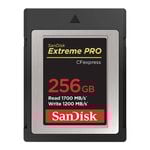 SanDisk Memory Card 256GB CFexpress [SDCFE-256G-GN4NN]