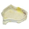 Urs Billabong Reptile Water Bowl Sandstone Large
