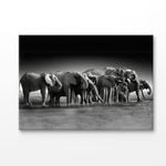 B&W Pack of Elephants Print 100% Australian Made 180x120cm (Stretched Canvas)