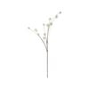 75cm Native Billy Buttons Green Artificial Flower