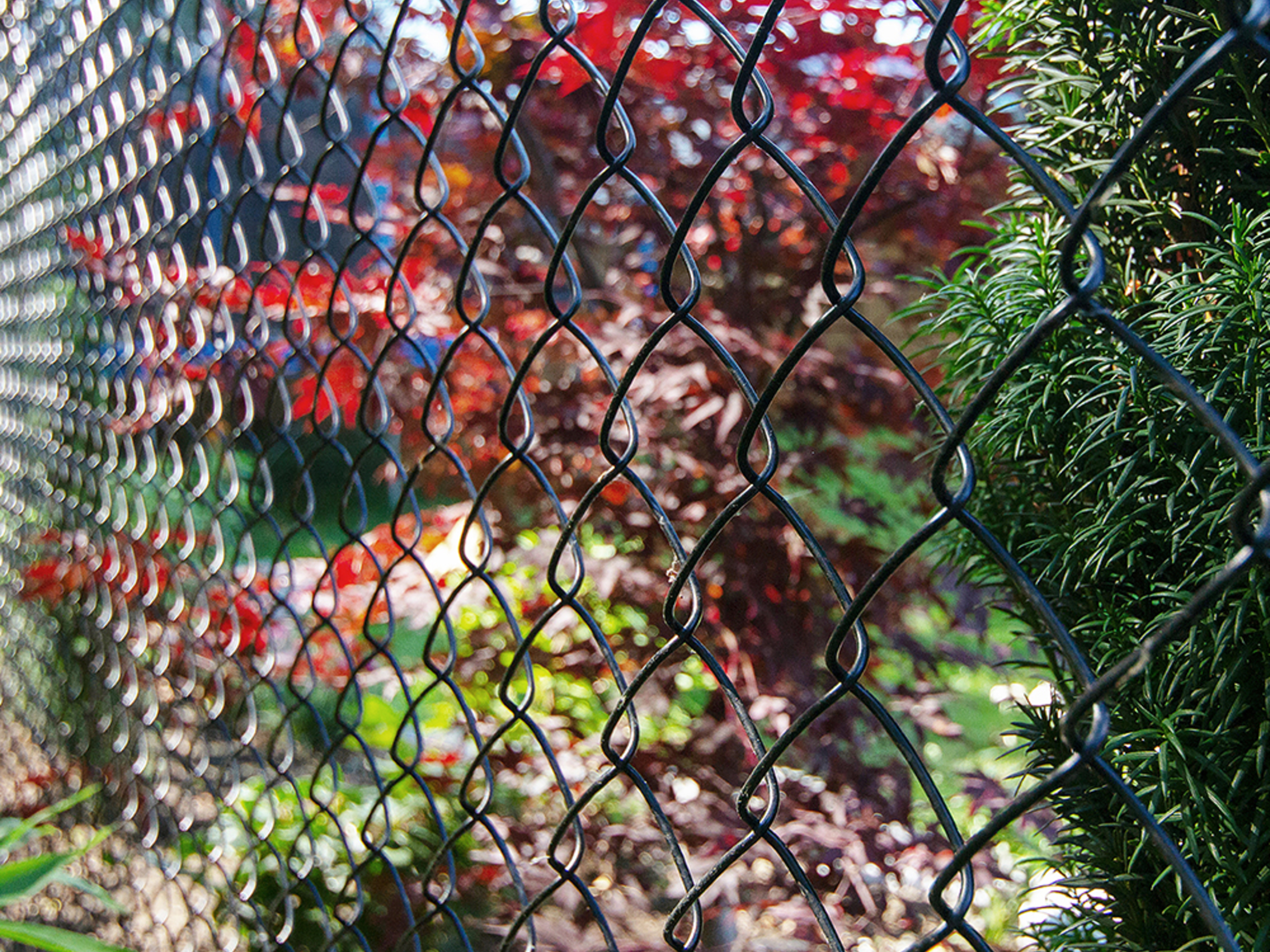 PEAK Chain Link Fencing - Bunnings Australia
