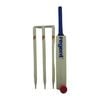 Regent Wooden Cricket Set Size 3 Backyard/Beach Game