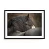 Artey | Looking Back - Framed Print - Black Frame - 65 x 85cm