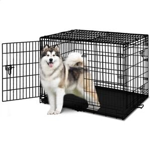 BEASTIE 48 Inch Dog Cage Foldable Metal Cat Puppy Pet Crate
